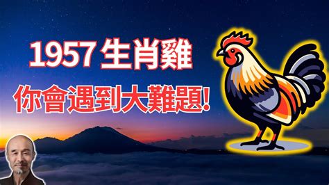 1957屬雞2023運勢|生肖雞: 性格，愛情，2024運勢，生肖1993，2005，2017